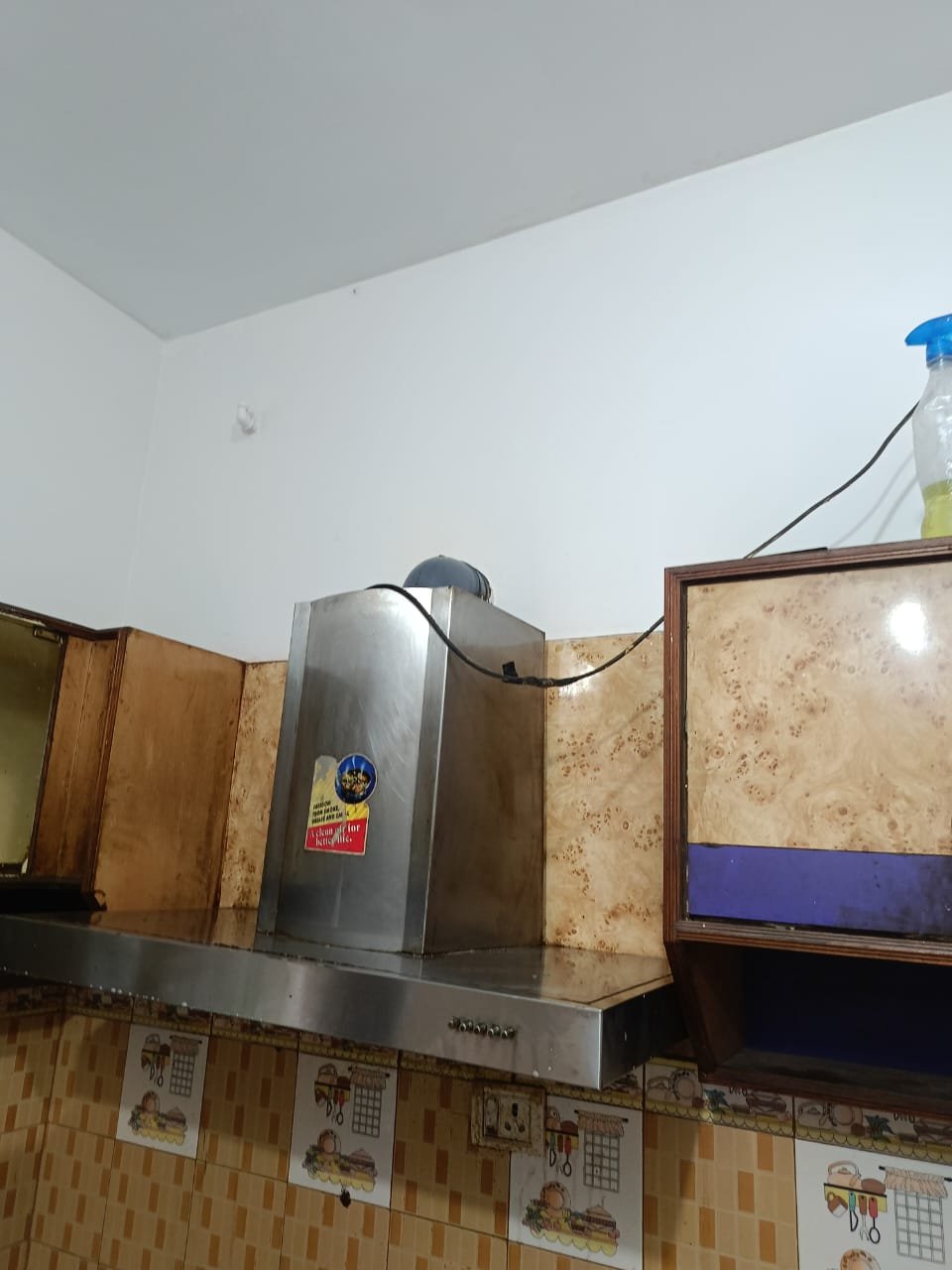 Chimney after cleaning